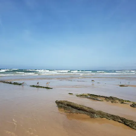 Silver Coast - Casa Da Ilha Casa de Férias Baleal